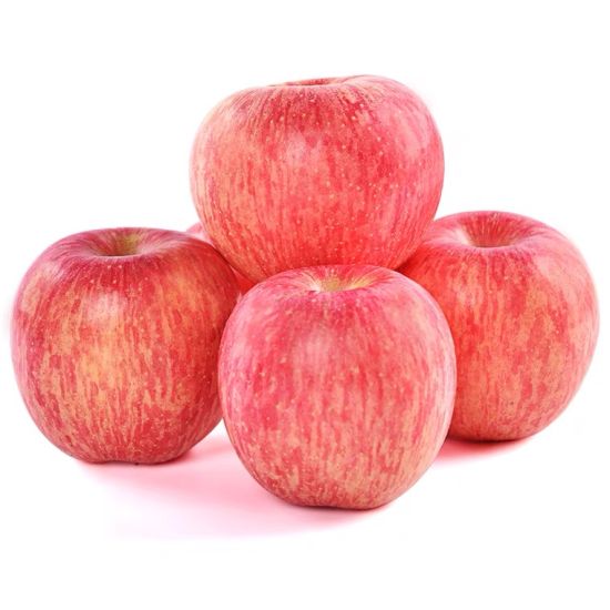 Apple Red Fuji - China (Pack of 5)