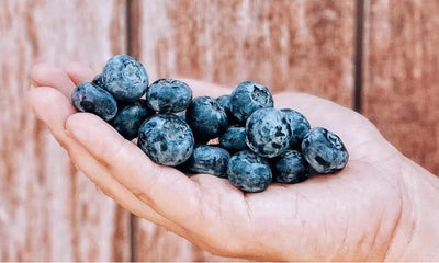 Blueberries Jumbo - Chile/Peru/Argentina