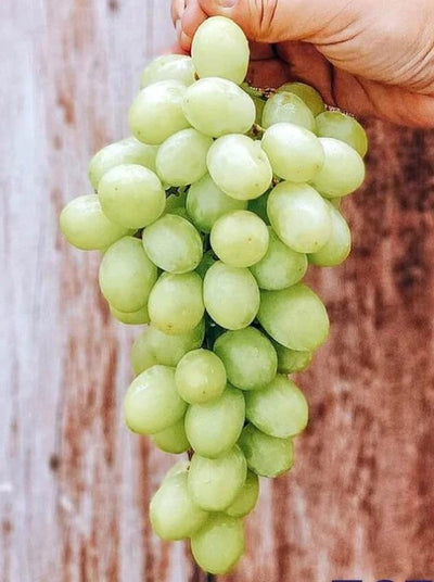 Grapes Green Crunchy Seedless - USA (500 gm)