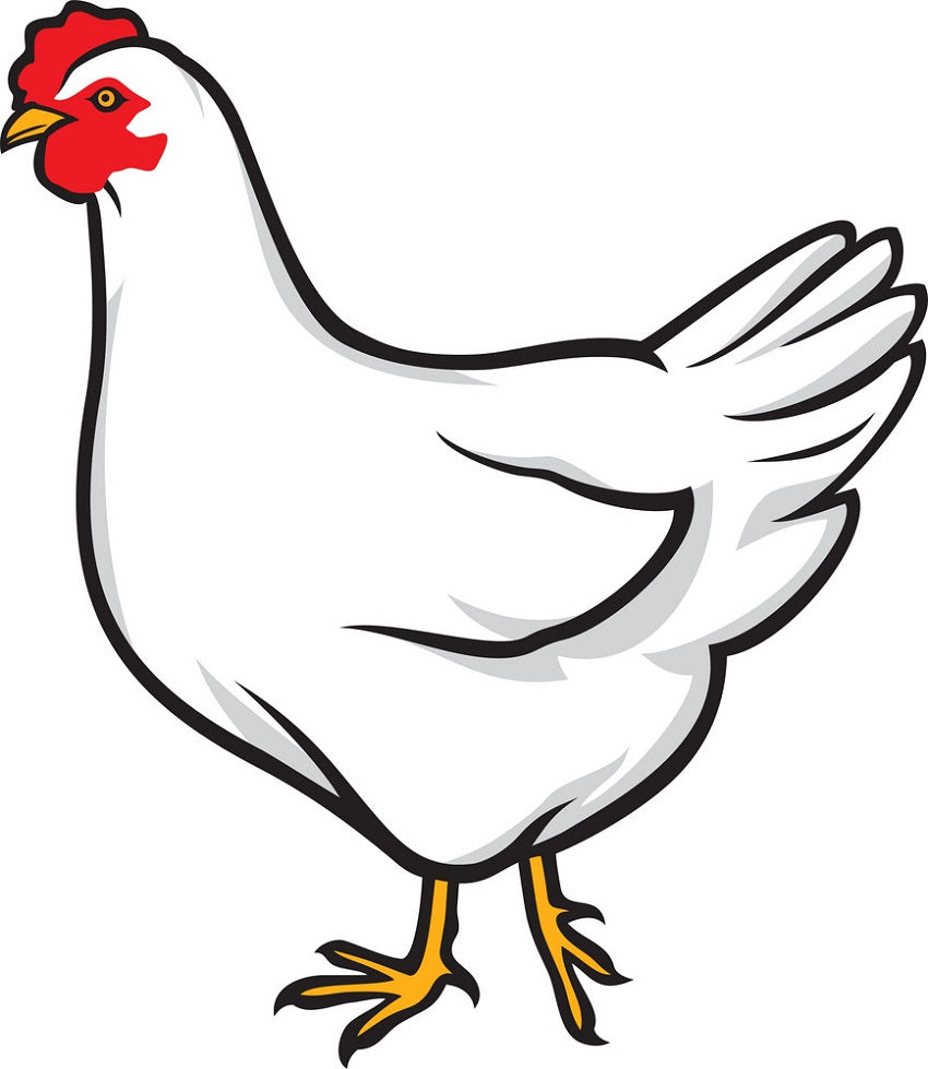 Omega 3 Whole Chicken 1.3-1.5kg (actual photo will be updated)