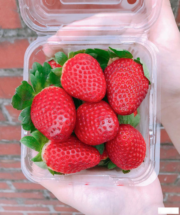 Strawberry - 250g per punnet