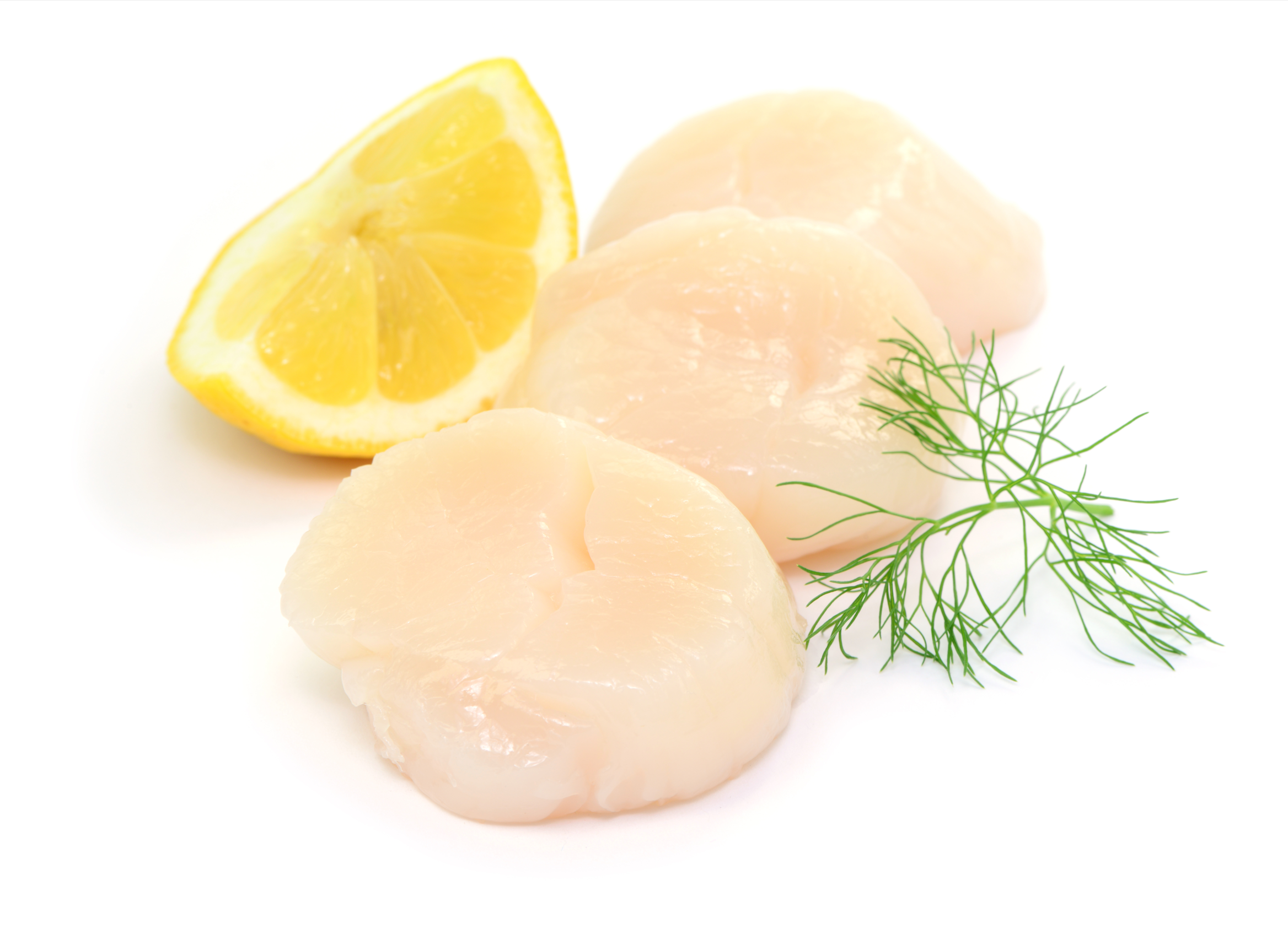 Large Frozen Scallops (450g)