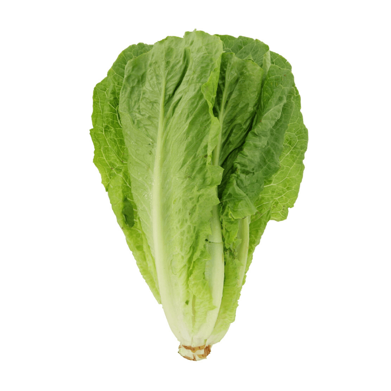 罗敏 Romaine Lettuce (850g-1kg)