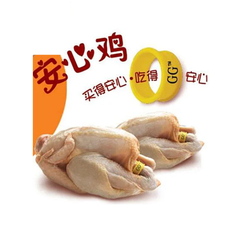 An Xin Organic Kampong Chicken (1.3-1.5Kg) – FRESH STOP SG