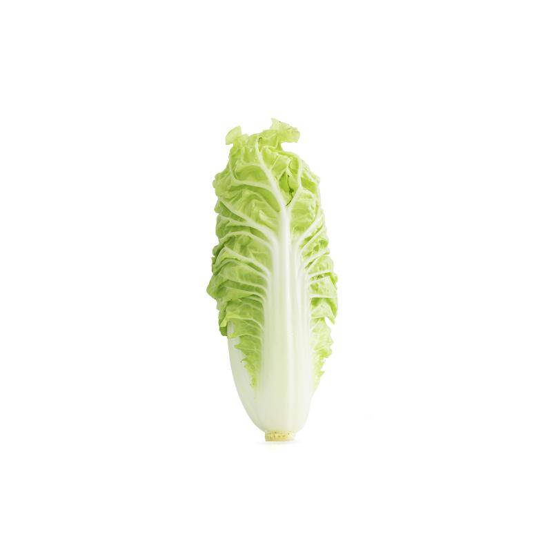 大白菜 Cabbage Long (850g-1kg)
