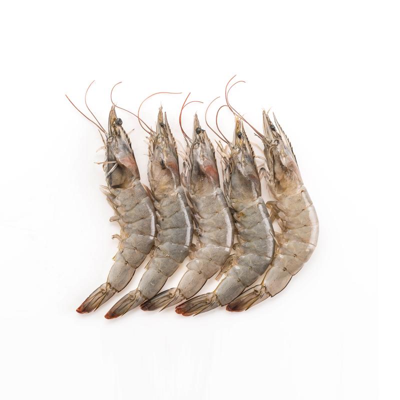 Fish and Seafood – FRESH STOP SG