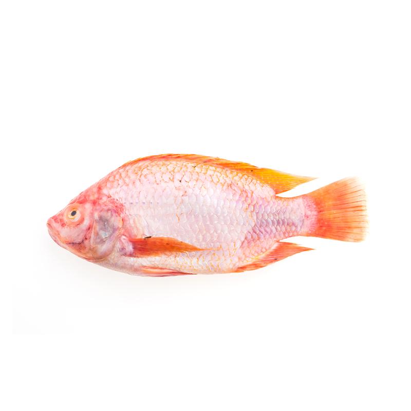 Fish and Seafood – FRESH STOP SG
