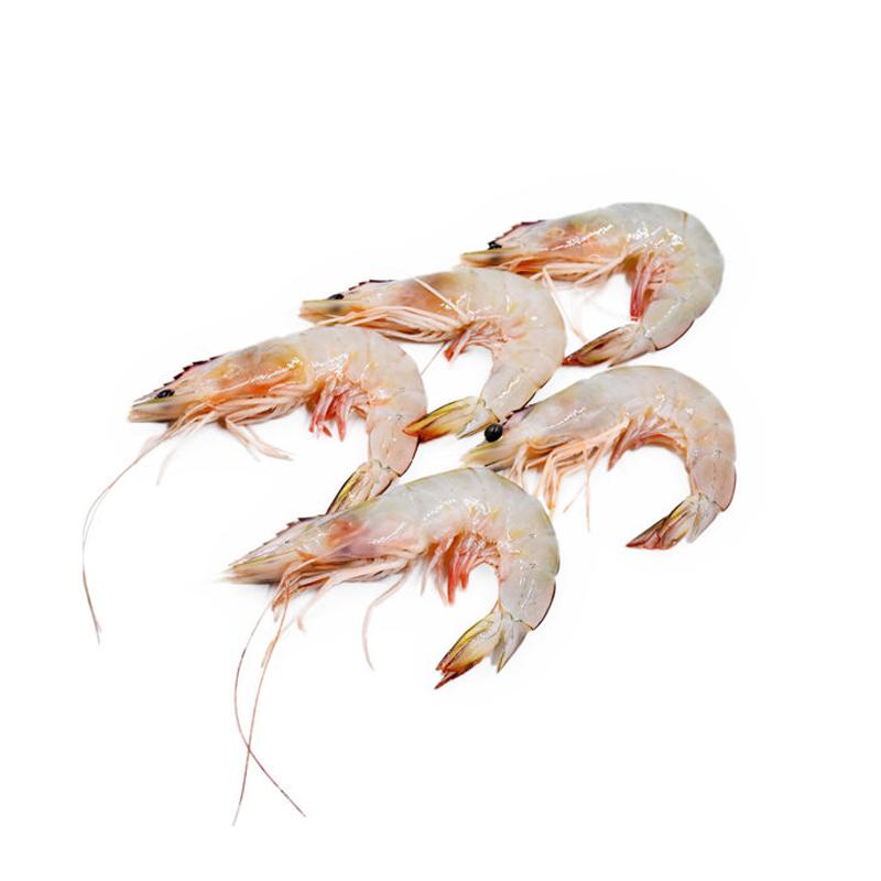 Fish and Seafood – FRESH STOP SG