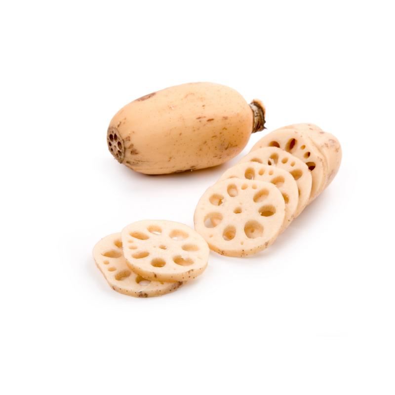 莲藕 Lotus Root