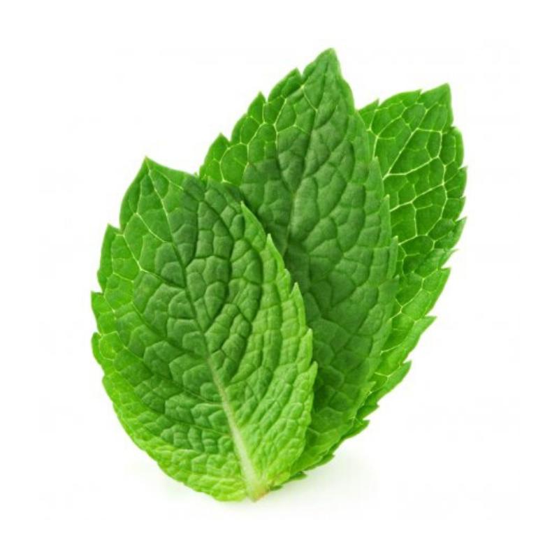 薄荷叶 Mint Leaf (100g)
