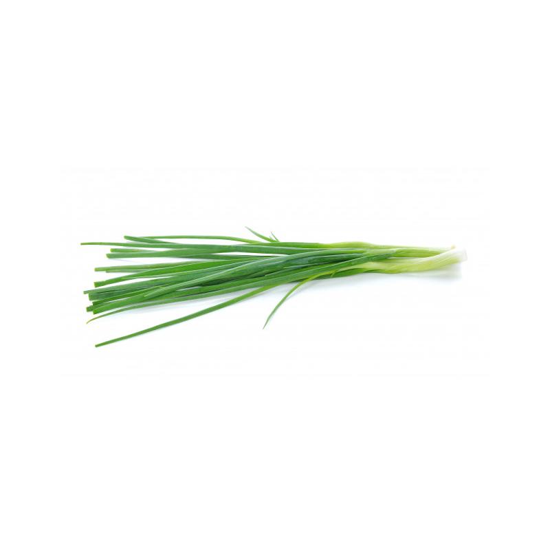 Vegetables – FRESH STOP SG